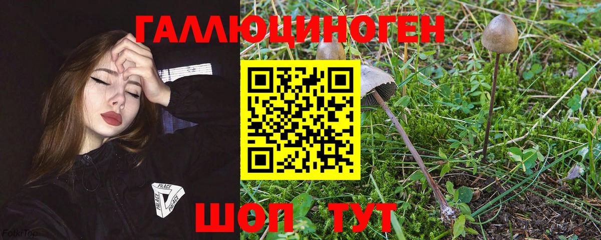 Галлюциногенные грибы мицелий  Галлюциногенные грибы MAGIC MUSHROOMS  Вход с VPN  Владимир 